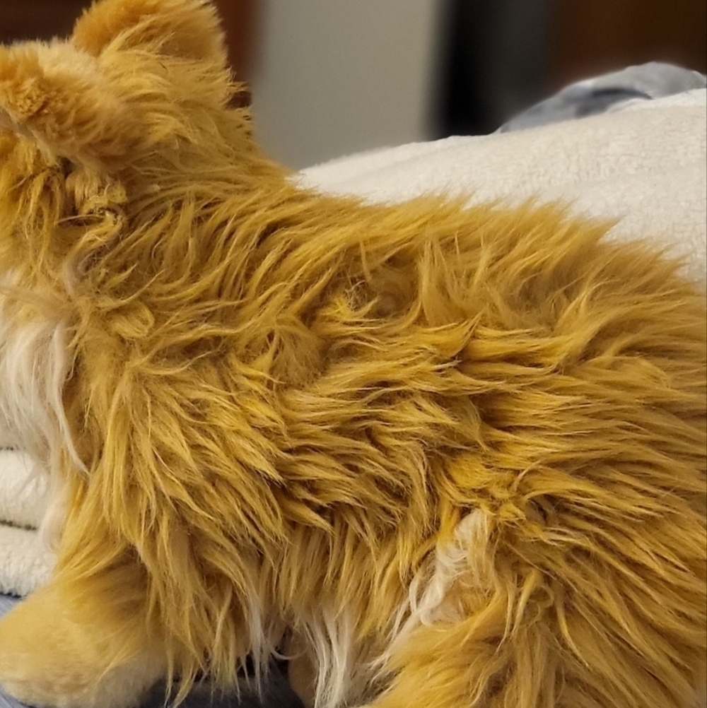 Webkinz Signature Pomeranian Ganz - Picture 7 of 10